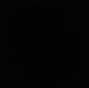 Meet your Posher, Daisy